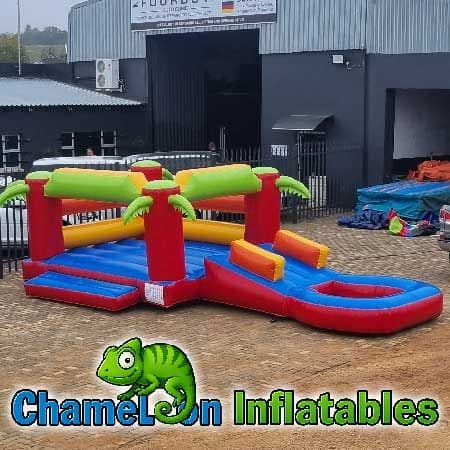 Slide @ Side With Palm Trees (Small)