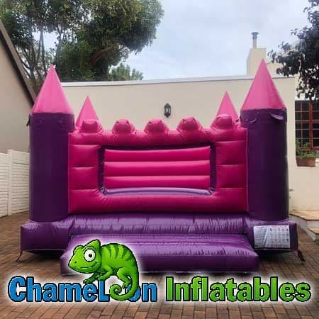 Fairy Princess Castle (Med)